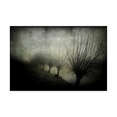Trademark Fine Art Jacqueline van Bijnen 'To Be Lost' Canvas Art, 30x47 1X10186-C3047GG